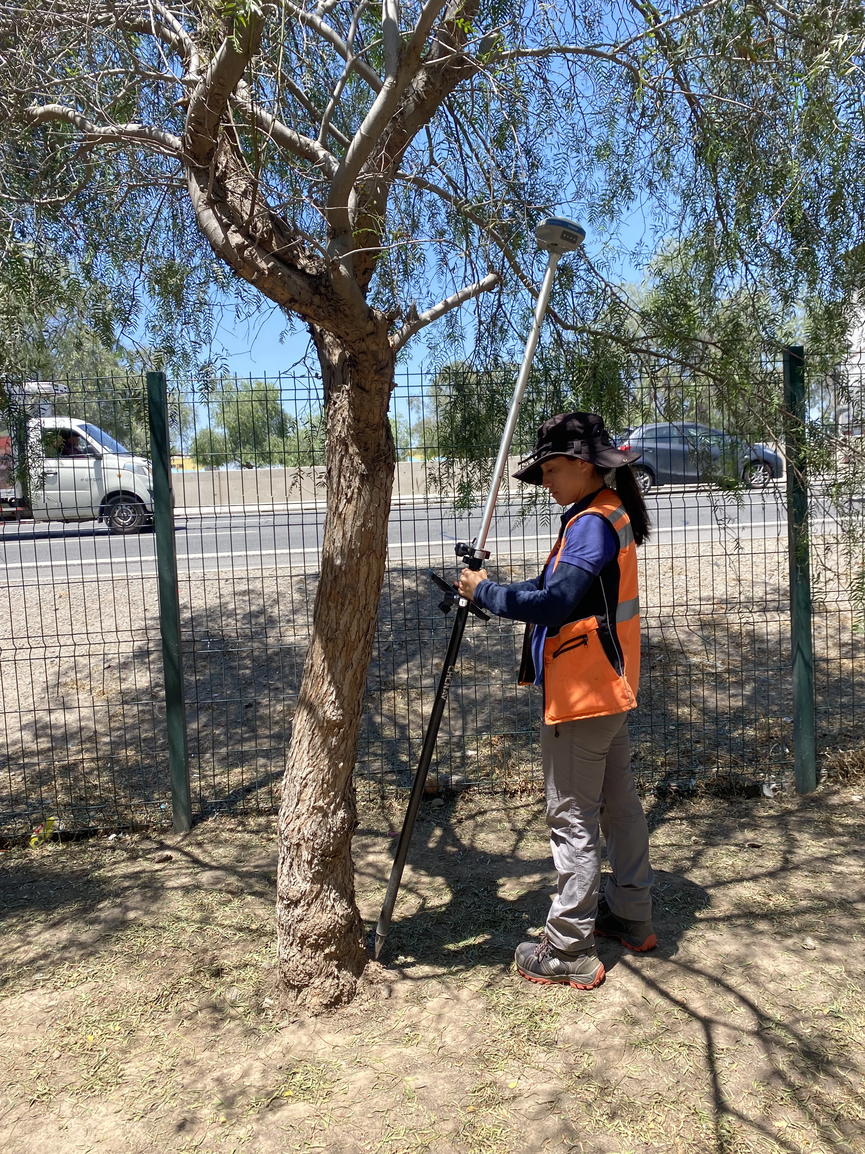 Topografía catastral